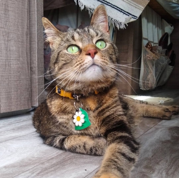 Meet Your Posher, Emma P {ReThread And Roam} - Picture 3 of 3